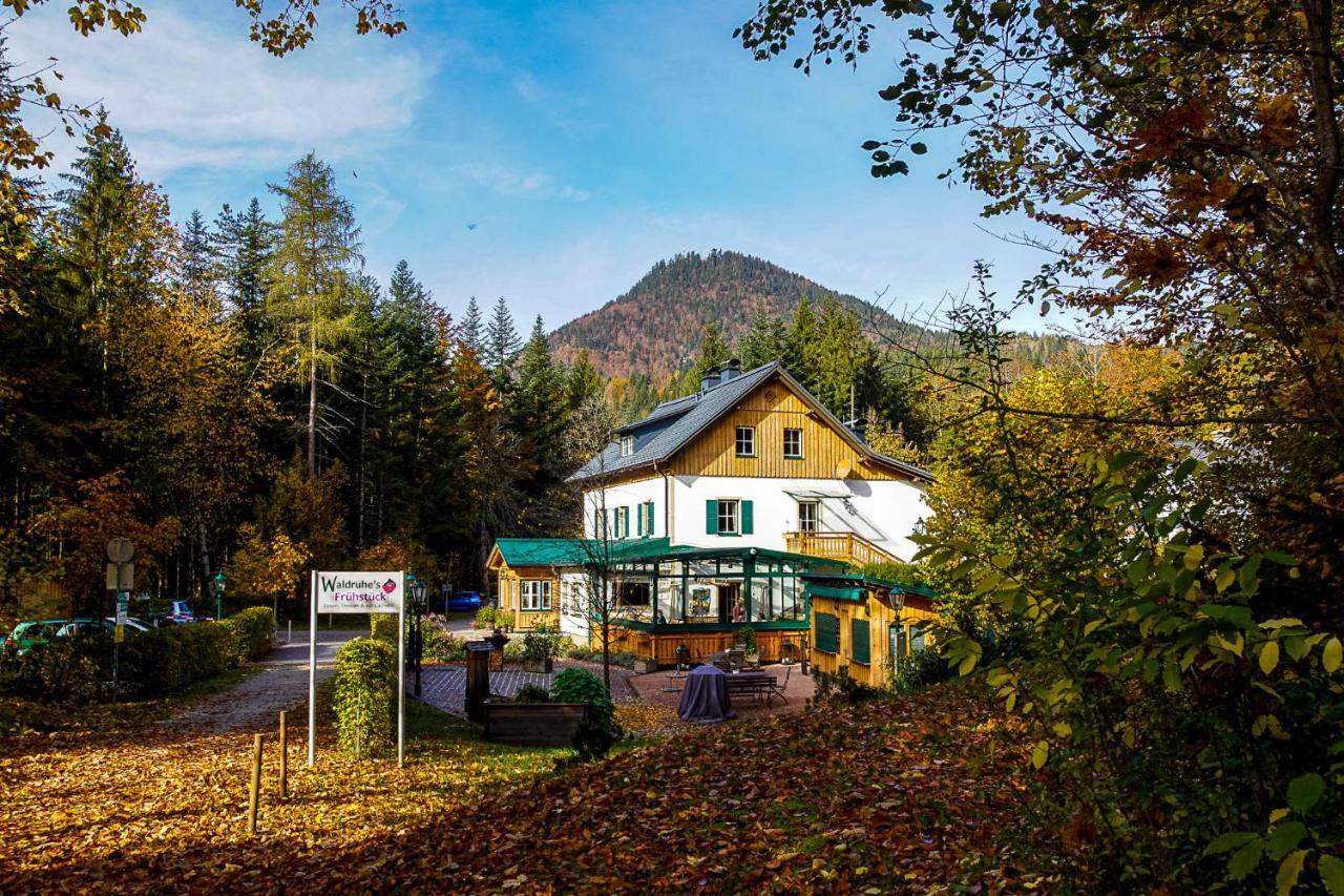 Bed and Breakfast Waldruhe - Bett, Fruehstueck & Ein Laecheln Бад Аусзее Экстерьер фото